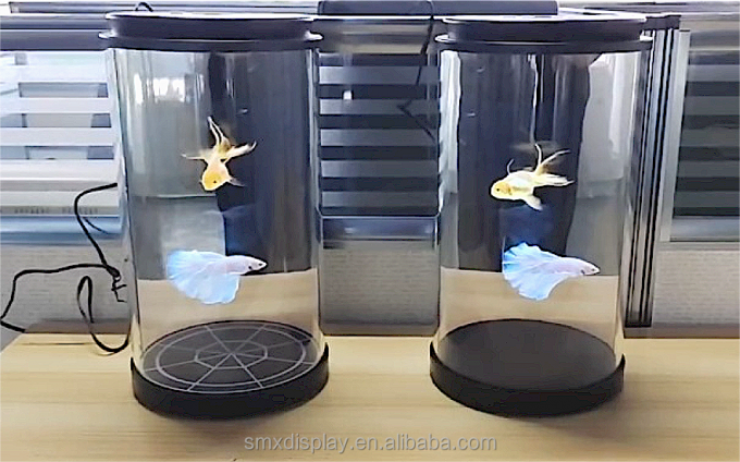 AI आधारित इंटरैक्टिव 3D होलोग्राम बॉक्स, 75 इंच डिजिटल मानव गोल प्रदर्शनी स्टैंड होलोट्यूब होलोग्राफिक डिस्प्ले बॉक्स 5