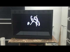 होलोक्यूब