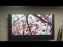 4K होम सिनेमा के लिए एम्बिएंट लाइट रिजेक्शन प्रोजेक्शन स्क्रीन