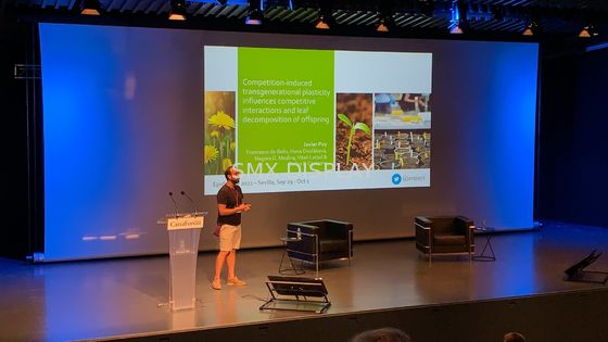 गुणवत्ता आरएफ रिमोट कंट्रोल के साथ 350 इंच बड़ी मोटराइज्ड प्रोजेक्शन स्क्रीन कारखाना